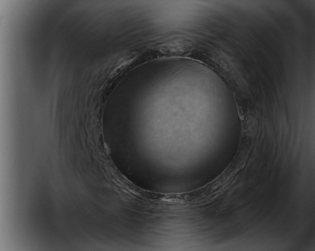 X0000052641297200507160146