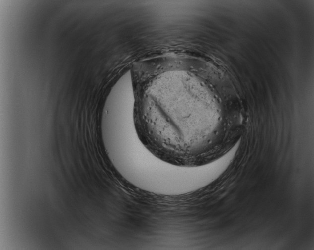 X0000052641298200507160146