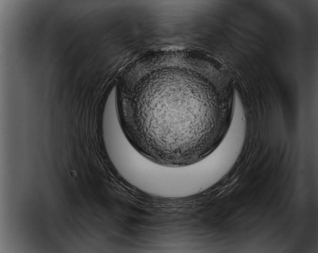 X0000052641299200507160146