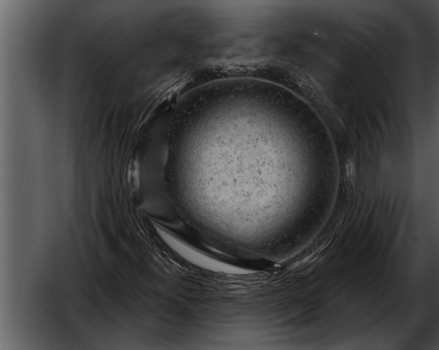 X0000052641300200507160146