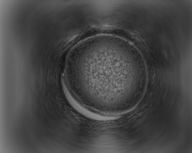 X0000052641301200507160146