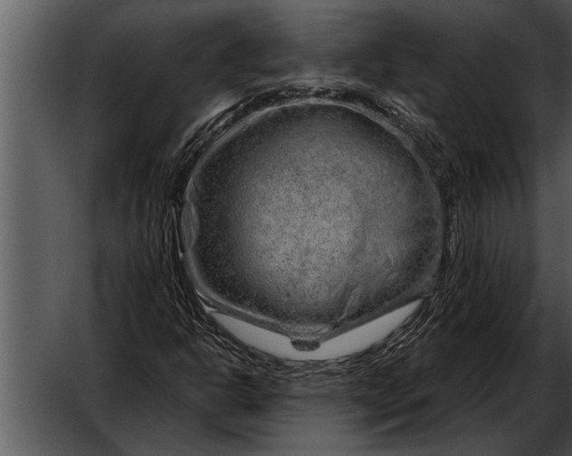 X0000052641302200507160146