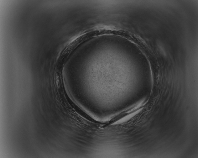 X0000052641303200507160146