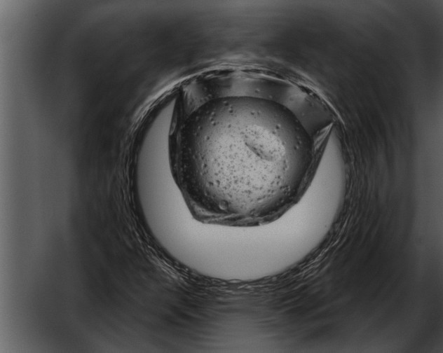 X0000052641304200507160146