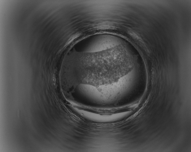 X0000052641305200507160146