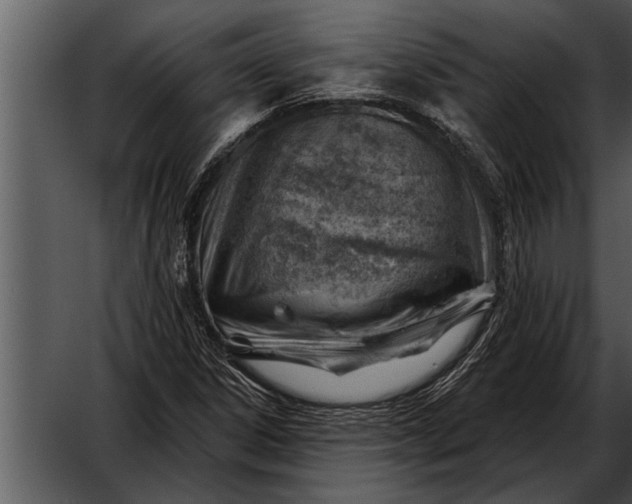 X0000052641306200507160146