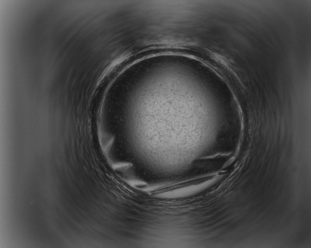 X0000052641307200507160146