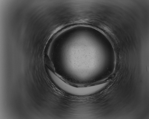 X0000052641308200507160146