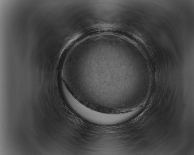 X0000052641309200507160146