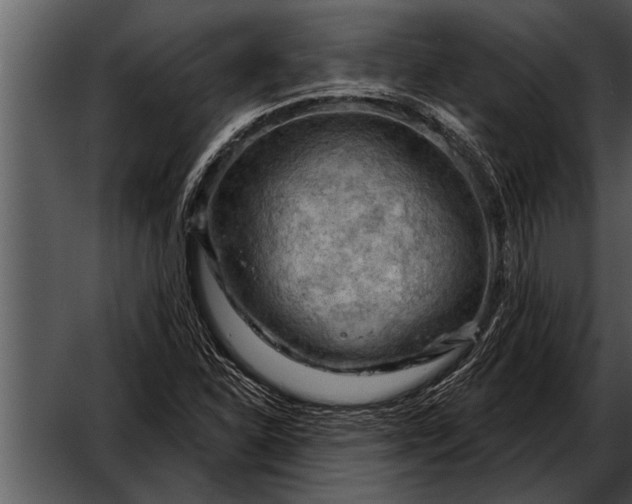 X0000052641310200507160146