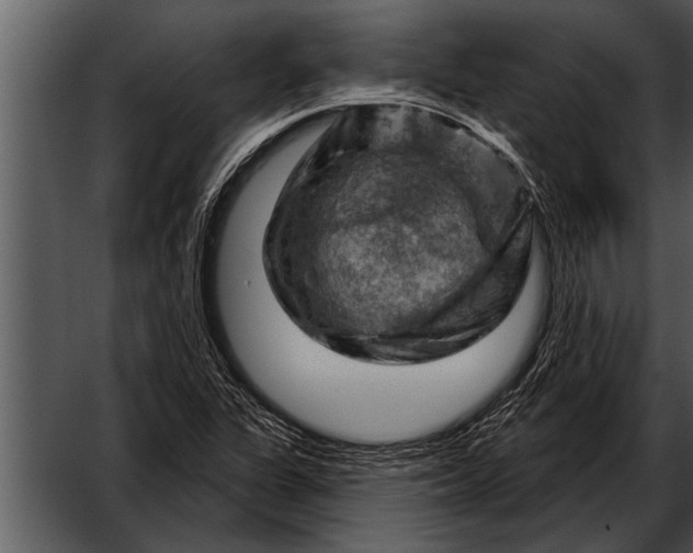 X0000052641311200507160146