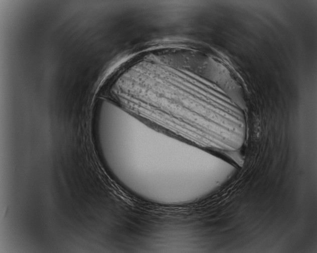 X0000052641312200507160146