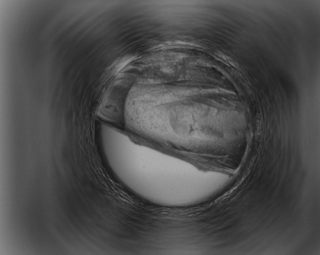 X0000052641313200507160146