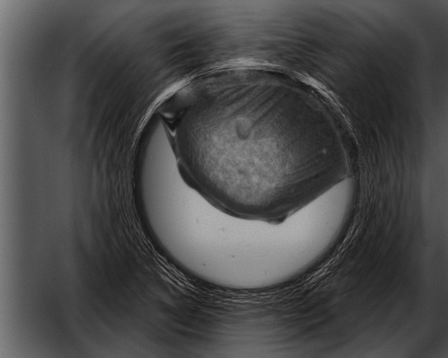 X0000052641314200507160146