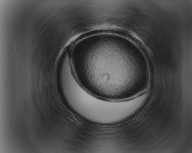 X0000052641315200507160146