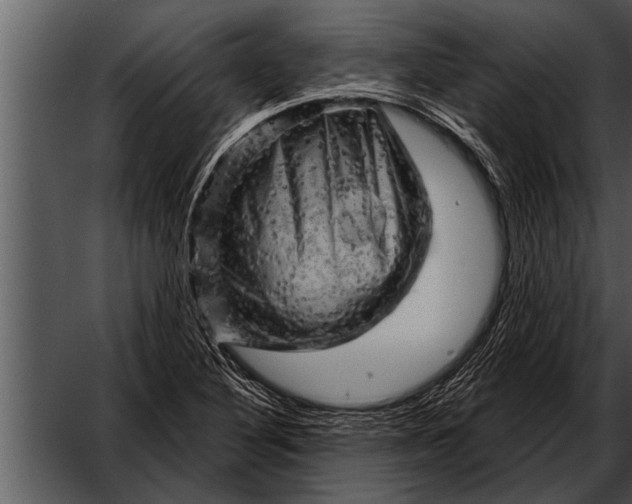 X0000052641316200507160146