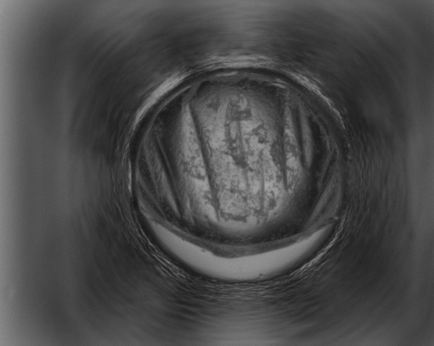 X0000052641317200507160146