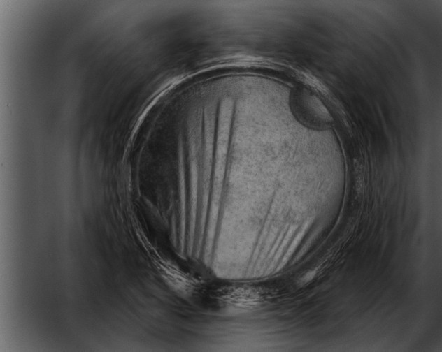 X0000052641318200507160146