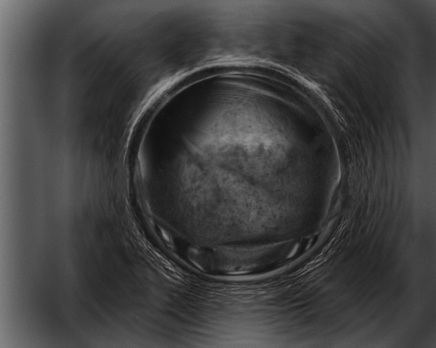 X0000052641319200507160146