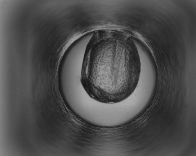 X0000052641320200507160146