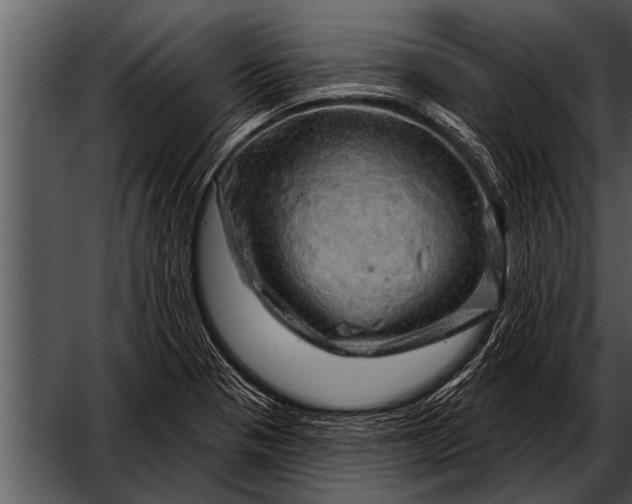 X0000052641321200507160146