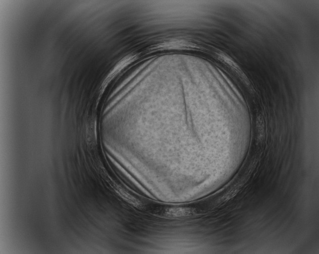 X0000052641322200507160146