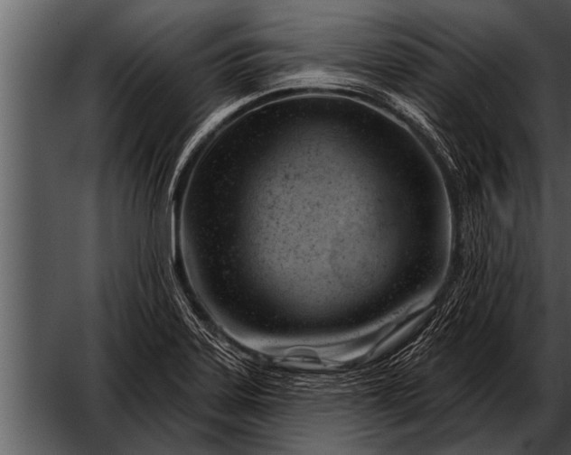 X0000052641323200507160146