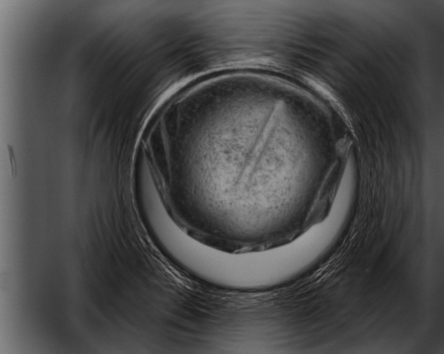 X0000052641324200507160146