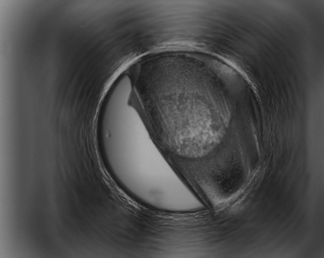 X0000052641325200507160146