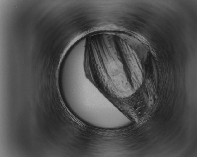 X0000052641326200507160146