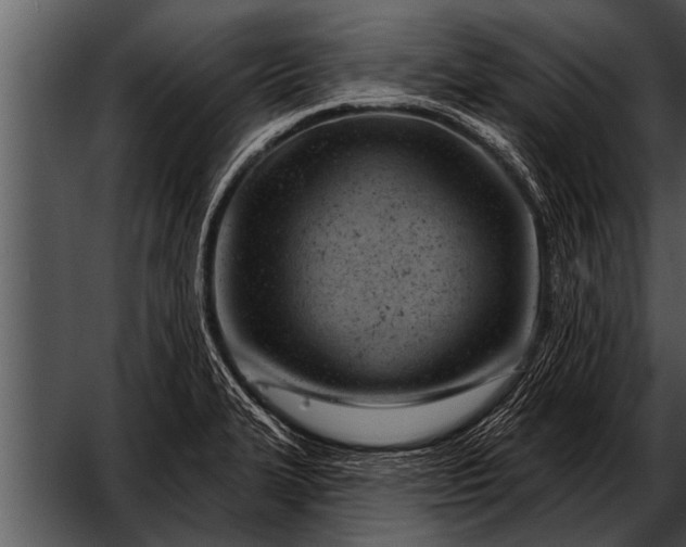 X0000052641327200507160146