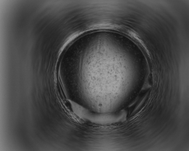 X0000052641328200507160146