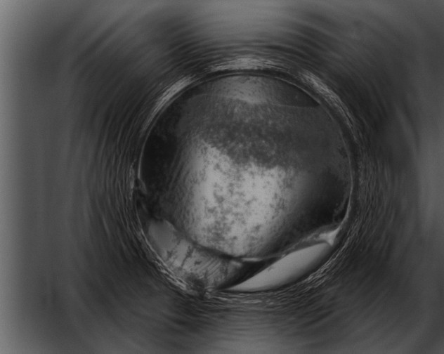 X0000052641329200507160146