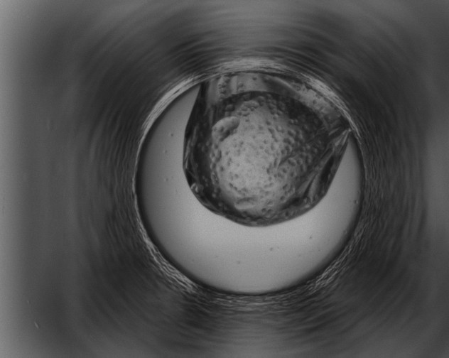 X0000052641330200507160147