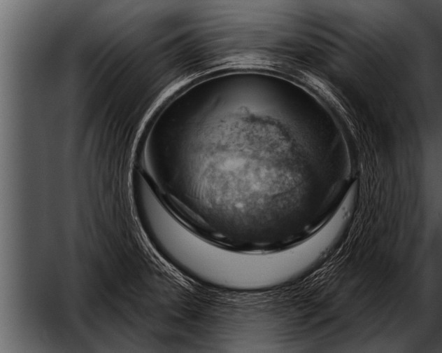 X0000052641331200507160147