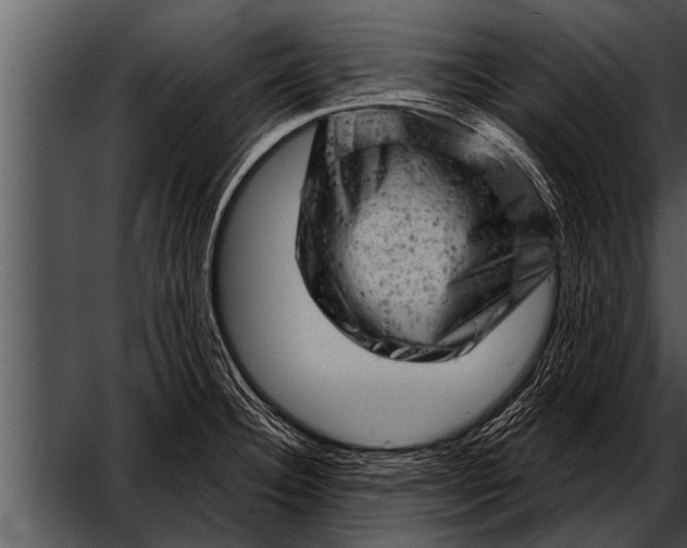 X0000052641332200507160147