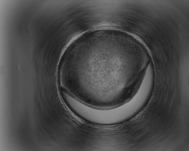 X0000052641333200507160147