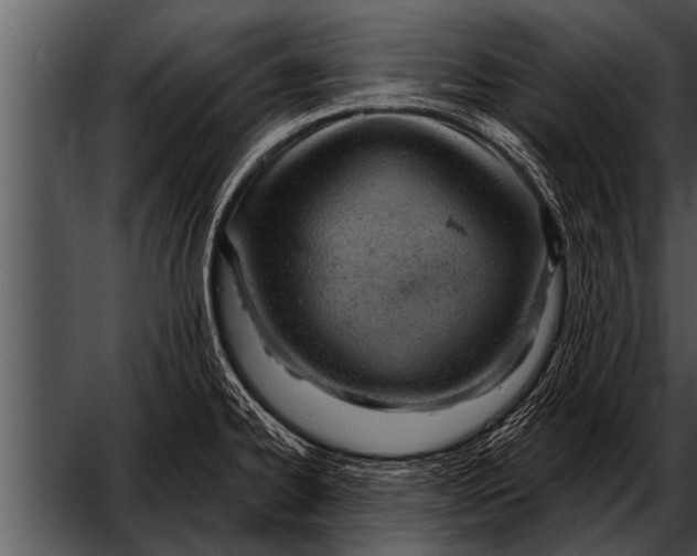 X0000052641334200507160147