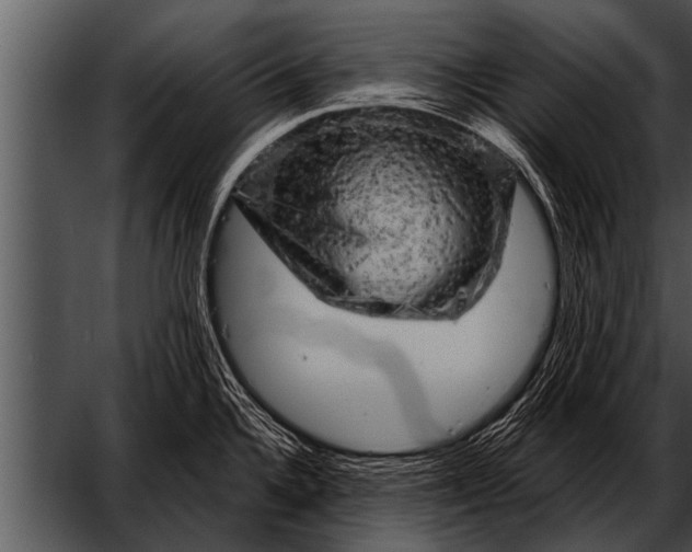 X0000052641336200507160147