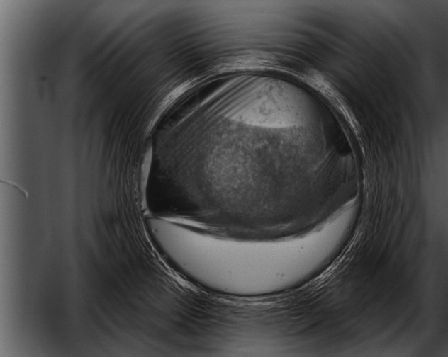 X0000052641337200507160147