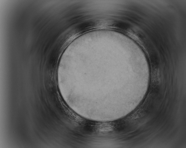 X0000052641338200507160147