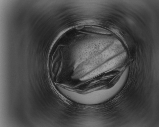 X0000052641339200507160147