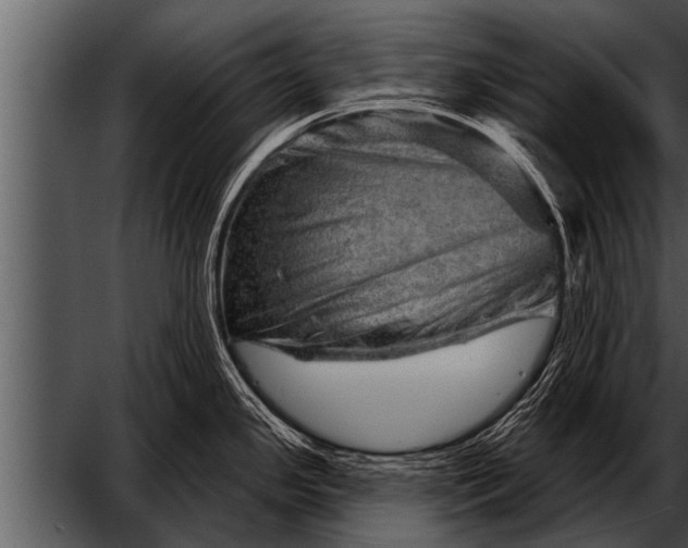 X0000052641341200507160147