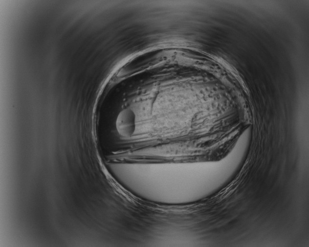 X0000052641342200507160147