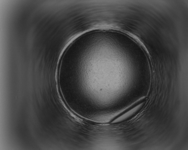 X0000052641343200507160147