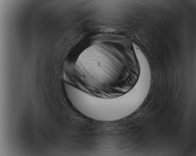 X0000052641345200507160146