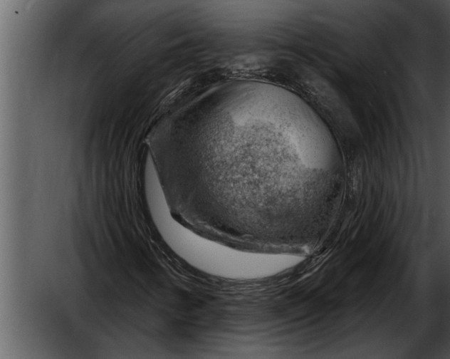 X0000052641346200507160146