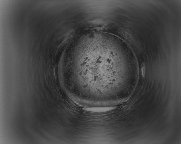 X0000052641347200507160146