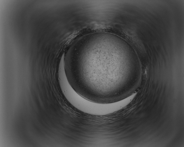 X0000052641348200507160146