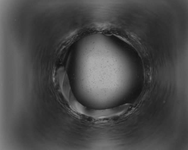 X0000052641349200507160146